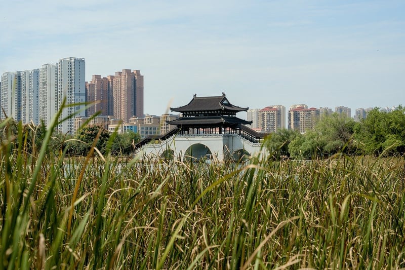 Urban Park